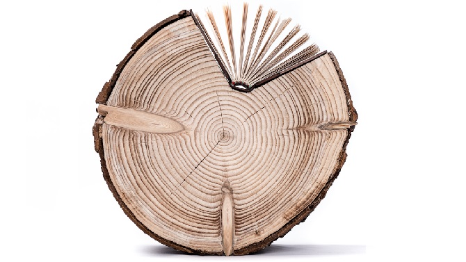 Τα 5 στάδια ανακύκλωσης του χαρτιού Title