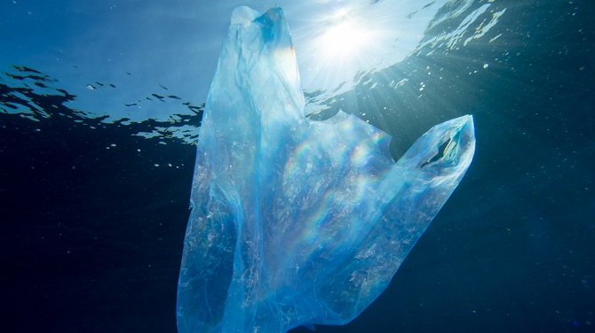 Ξέρεις γιατί οι πλαστικές σακούλες πρέπει να φύγουν από την καθημερινότητά μας;